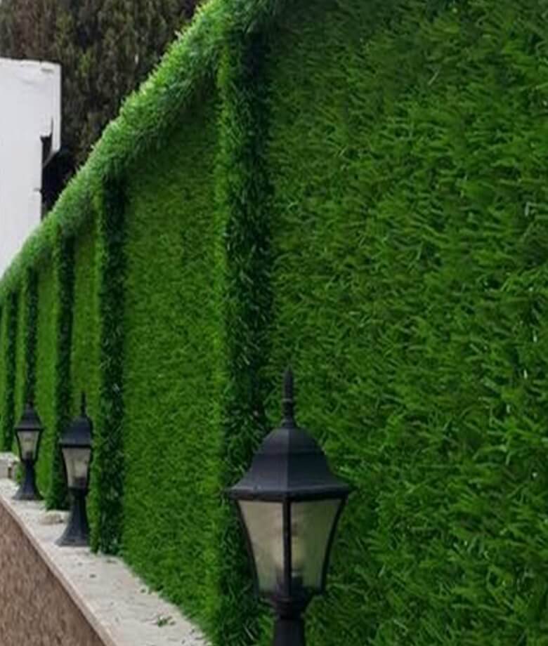 Elegans Tel Çit galeri resmi 12