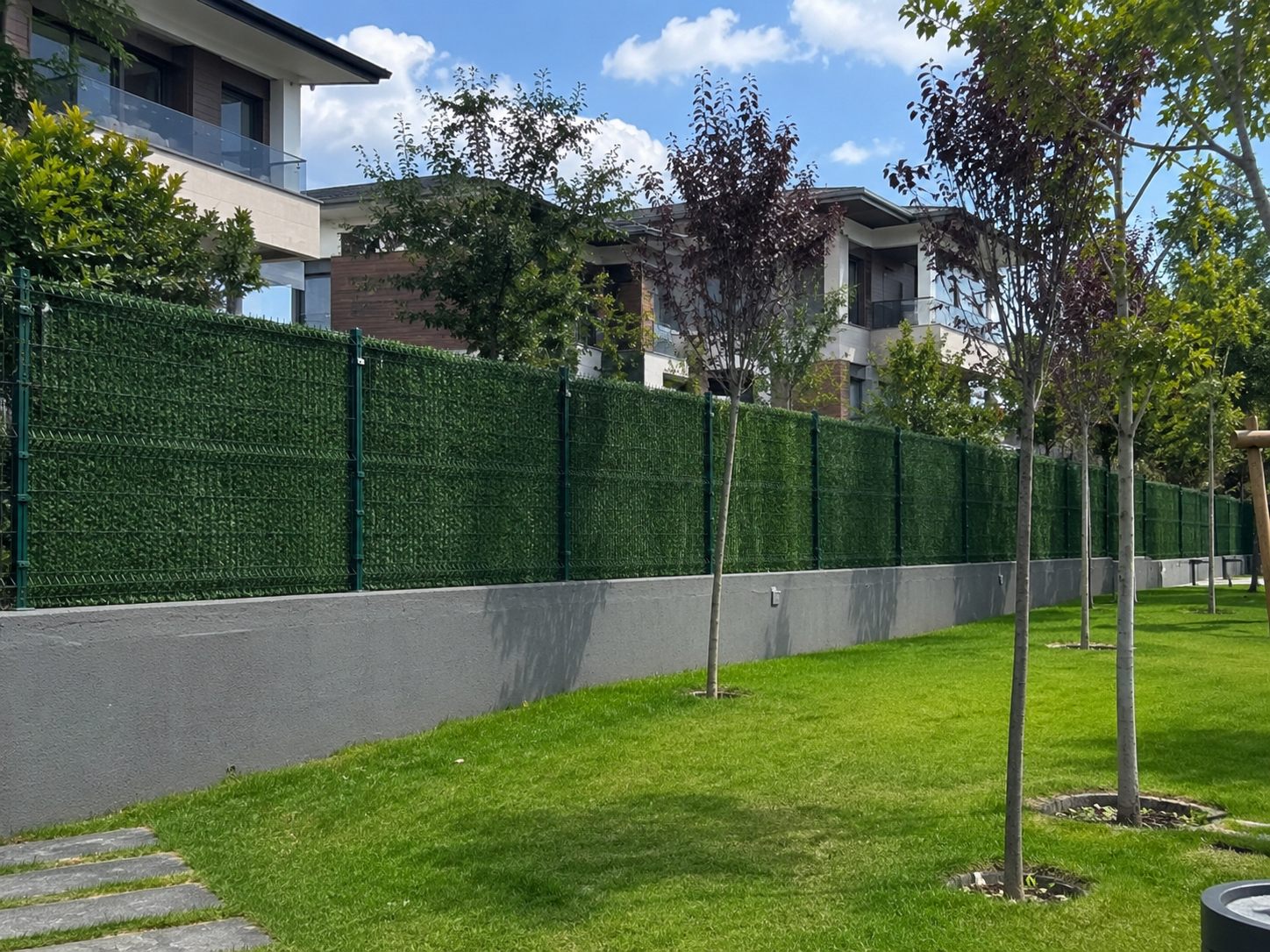 Elegans Tel Çit galeri resmi 4